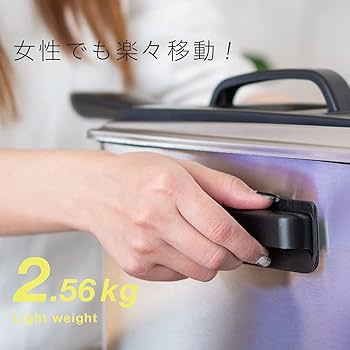 Amazon.co.jp: wisteria 電気フライヤー 家庭用 卓上 大型 3.5L